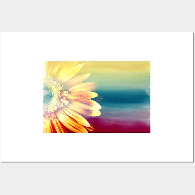 Colorful Gerbera Daisy Wall Art by JimDeFazioPhotography